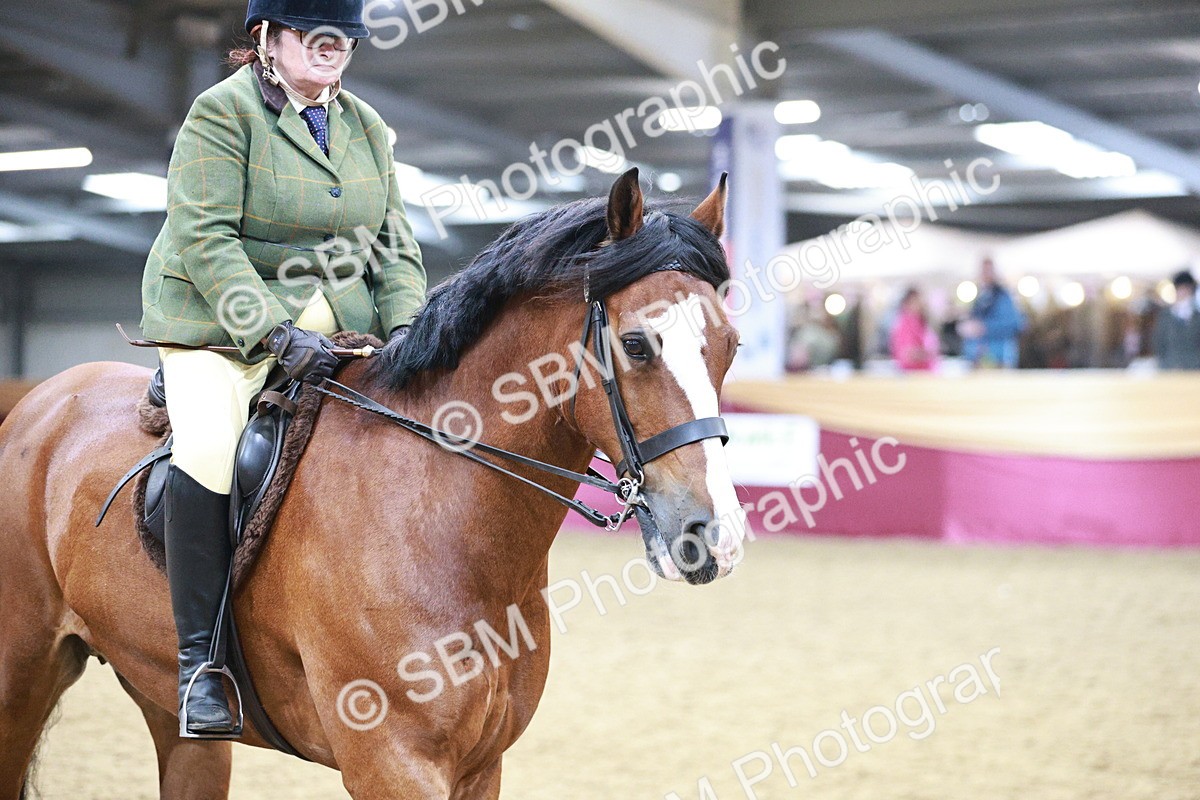 SBM_08942 - Class 12R - Regional Ridden Pre-Vet