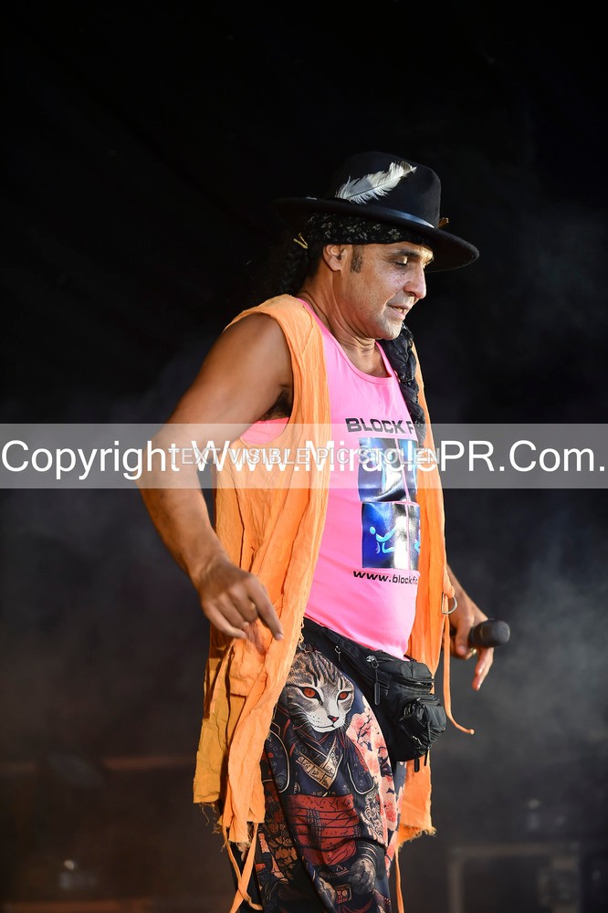 SH4_4358 - Chico