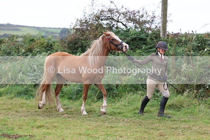 3E7A4521 - Class 16: Best Grass Kept