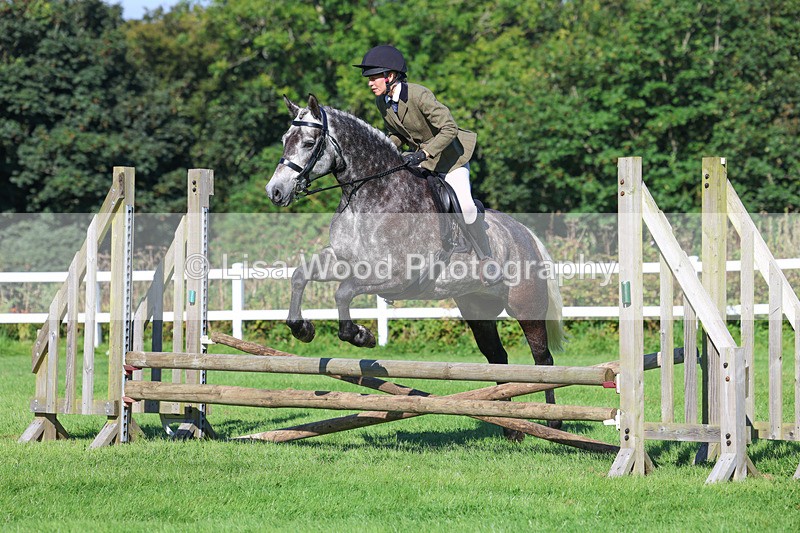 3E7A7762 - Class 2: Open Working Hunter pony