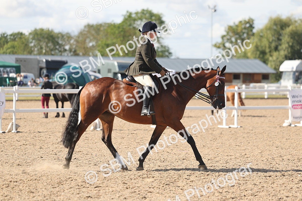 SBM_13184 - Class 306 - Ridden Foreign Breds - Part Bred