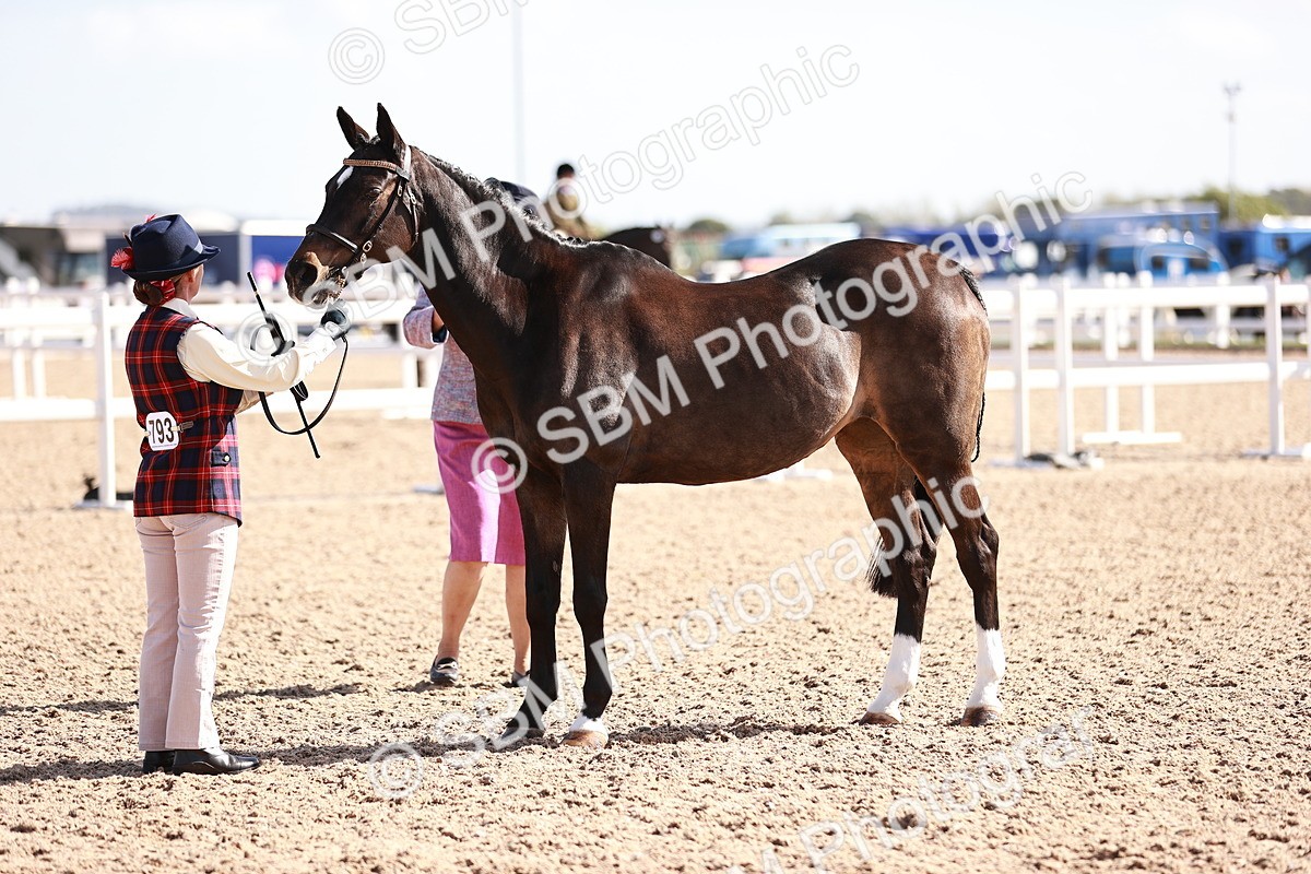 SBM_22807 - Class 705 - IH Combination 65+