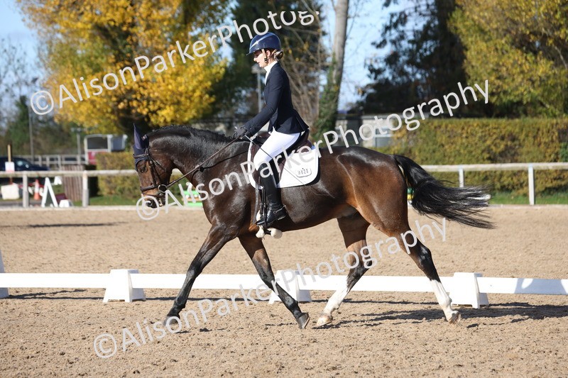 20251102-0735 - Class 4 - Novice 6