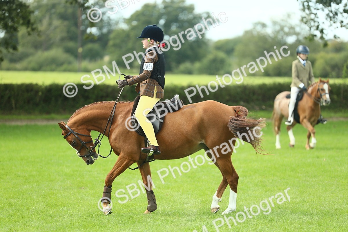 SBM_44653 - S31 - Working Hunter Pony