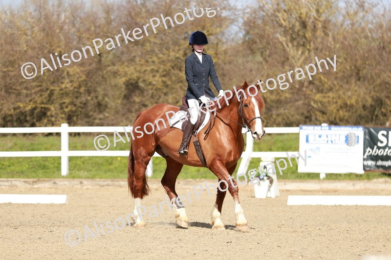 20260314-2928 - DR3 - Prelim 1