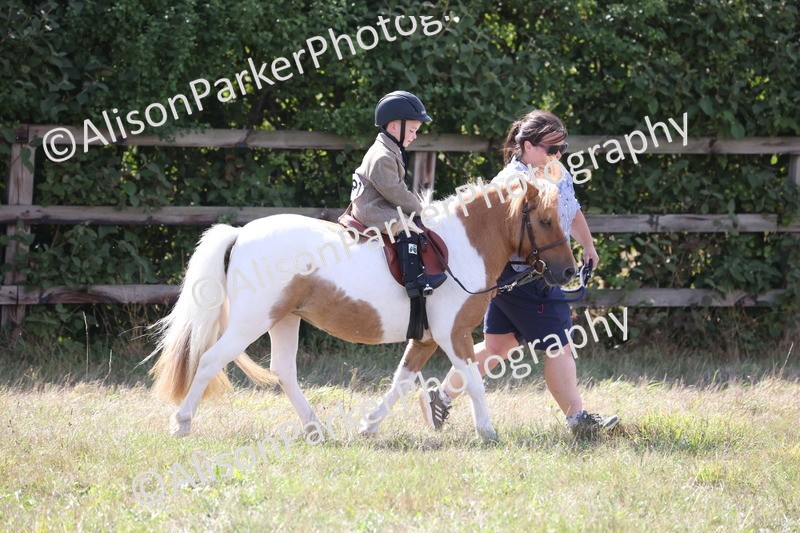 20260906-2805 - Class 25 - Absolute Beginners Pony