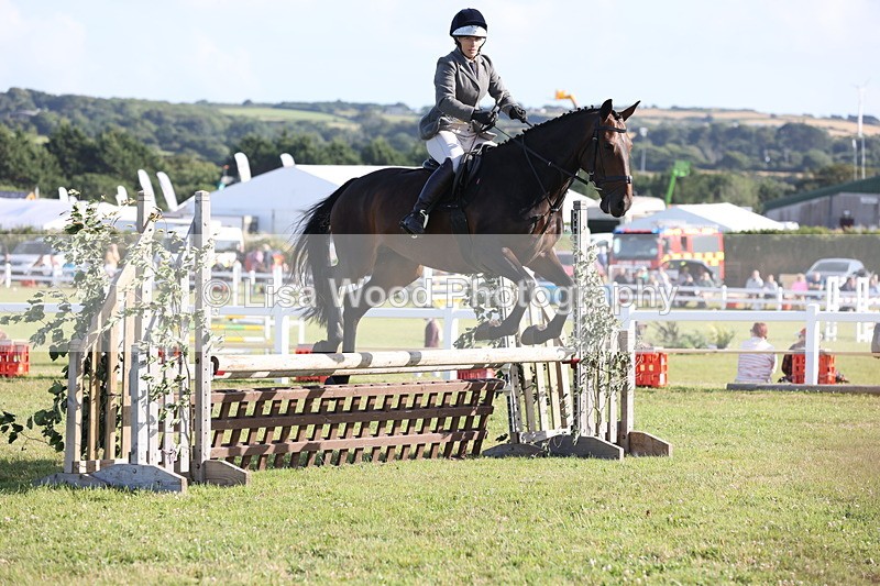 JPP_3116 - Class 21: Working Hunter 80cm