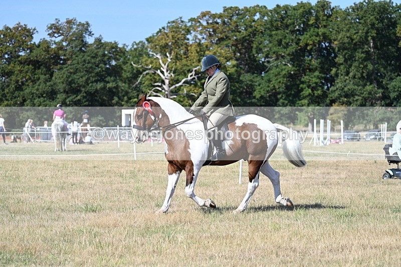WJ7_3266 - Class 8 Ridden Tack & Turnout