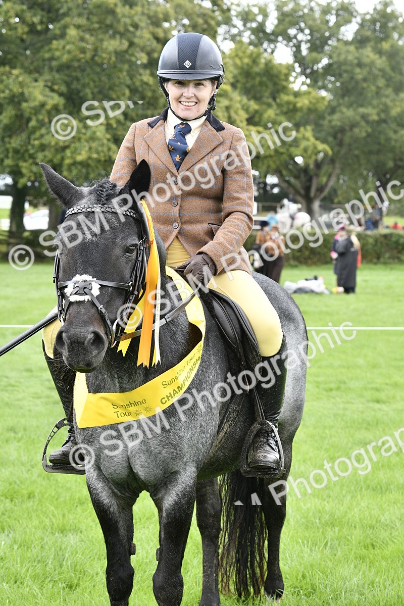 SBM_38272 - S31 - Novice & Newcomer Working Hunter Pony