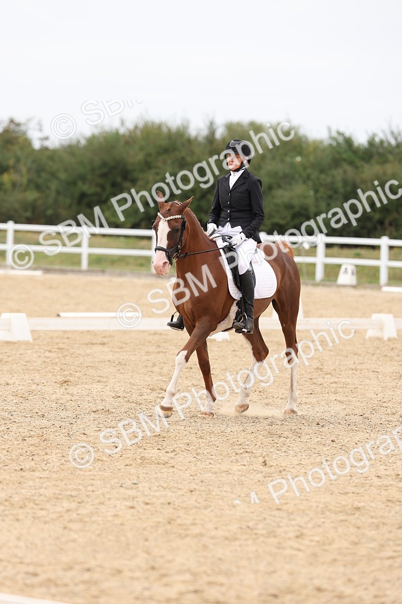 SBM_02093 - Class 8 - Novice 27 Champs