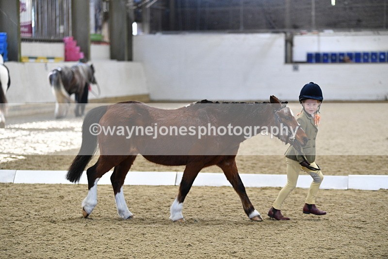 WJ5_3772 - Class 5 In Hand Veterans