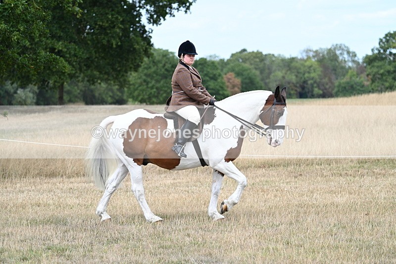 WJ7_4652 - Class 12 Ridden Cob