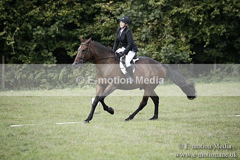 BVR090918 151 - BVRC Dressage and Show Jumping 09/09/18