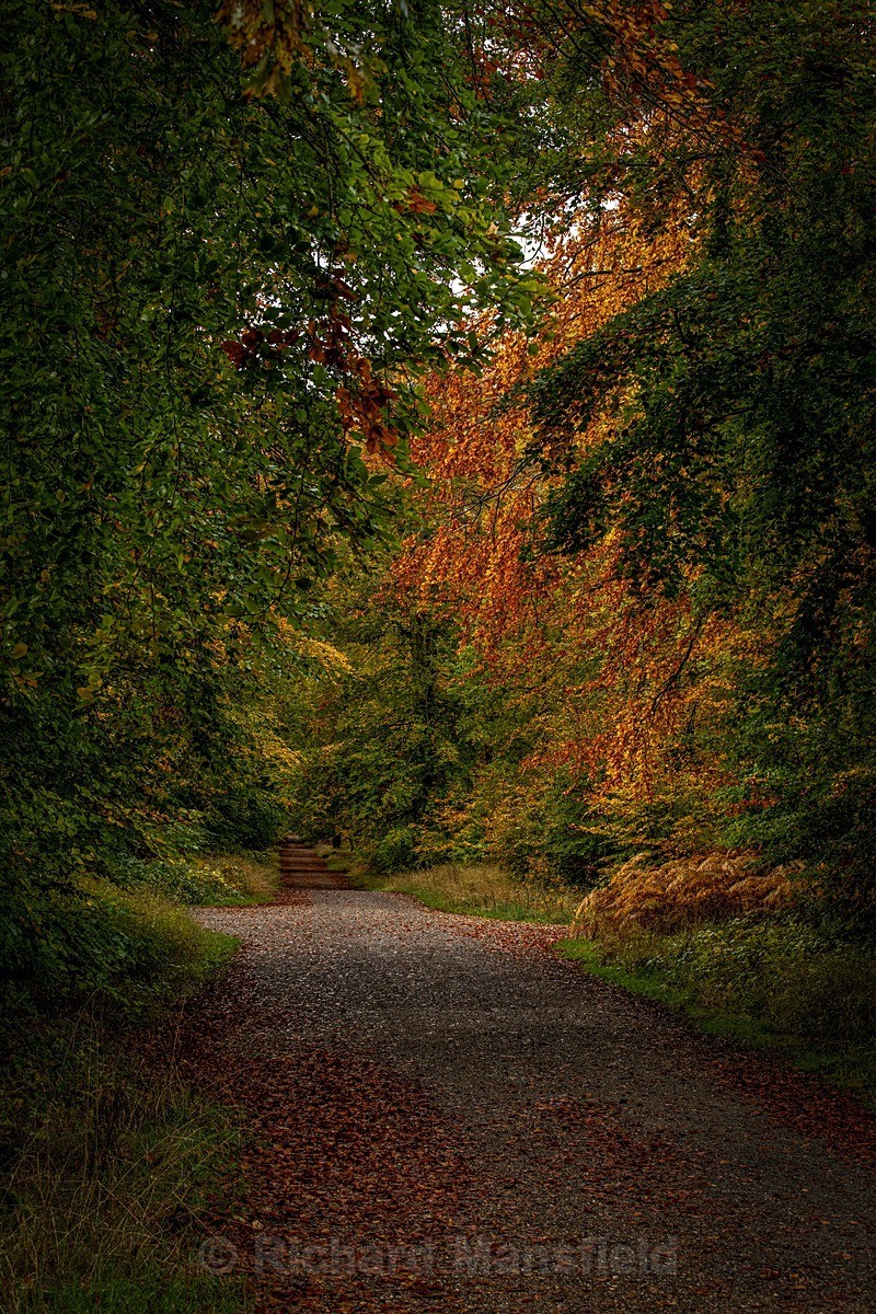  - Autumn