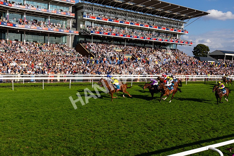 220826-Race 7-Raammee-0842 - Race 7 17.20pm Sky Bet Dav Reid Finale Handicap