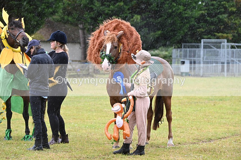 WJ6_9394 - Class 11 Fancy Dress