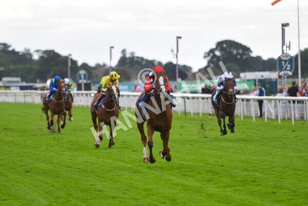 yr24092021r6-30 - Race 6 4.25pm William Hill Pick Your Places Stakes