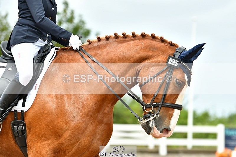 230702A-130143-09769 - Cls 28 Elementary 45