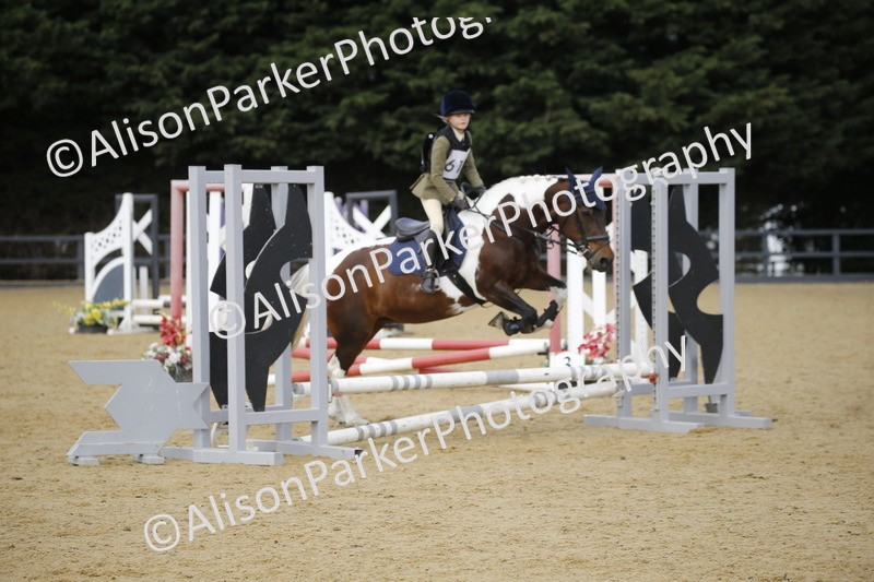 20250622-3783 - 50cm