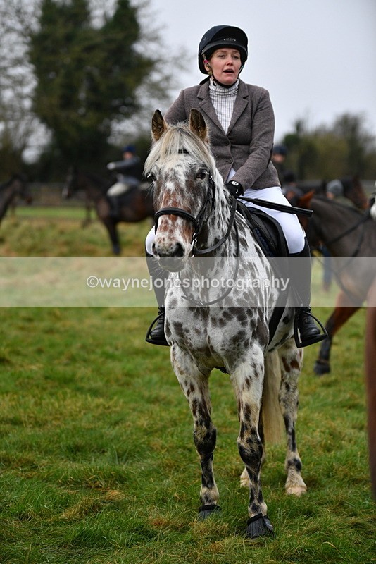 WJ5_4712 - Meet Pictures