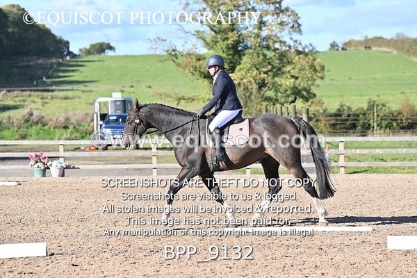 BPP_9132 - SHORT ARENA