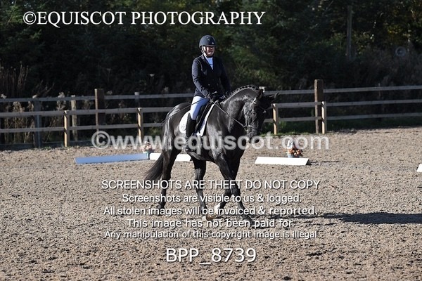 BPP_8739 - LONG ARENA