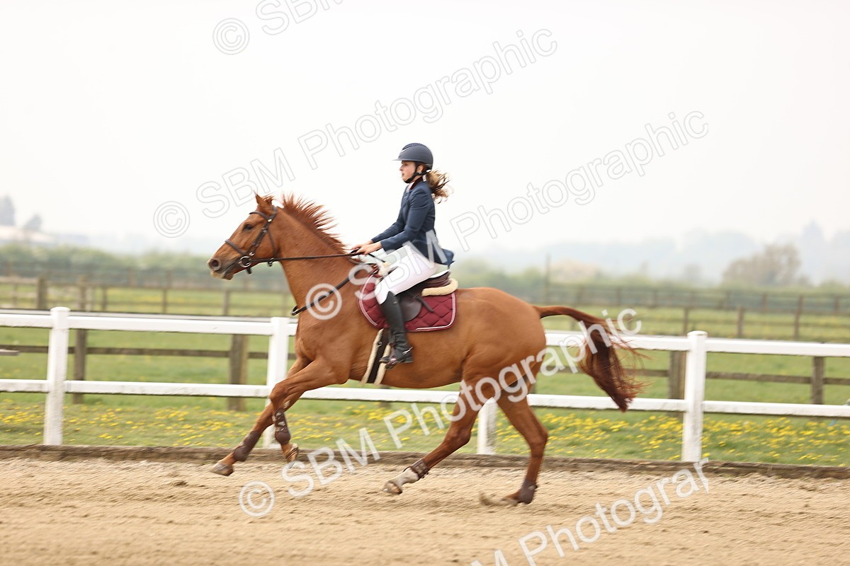  - Class 15 - Senior British novice - 90cm