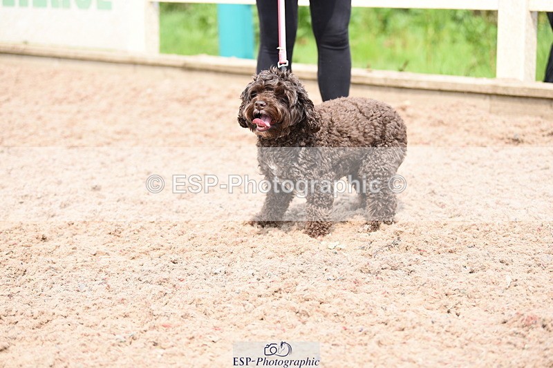 240518A-115212-00848 - Cls 2 Prettist Bitch