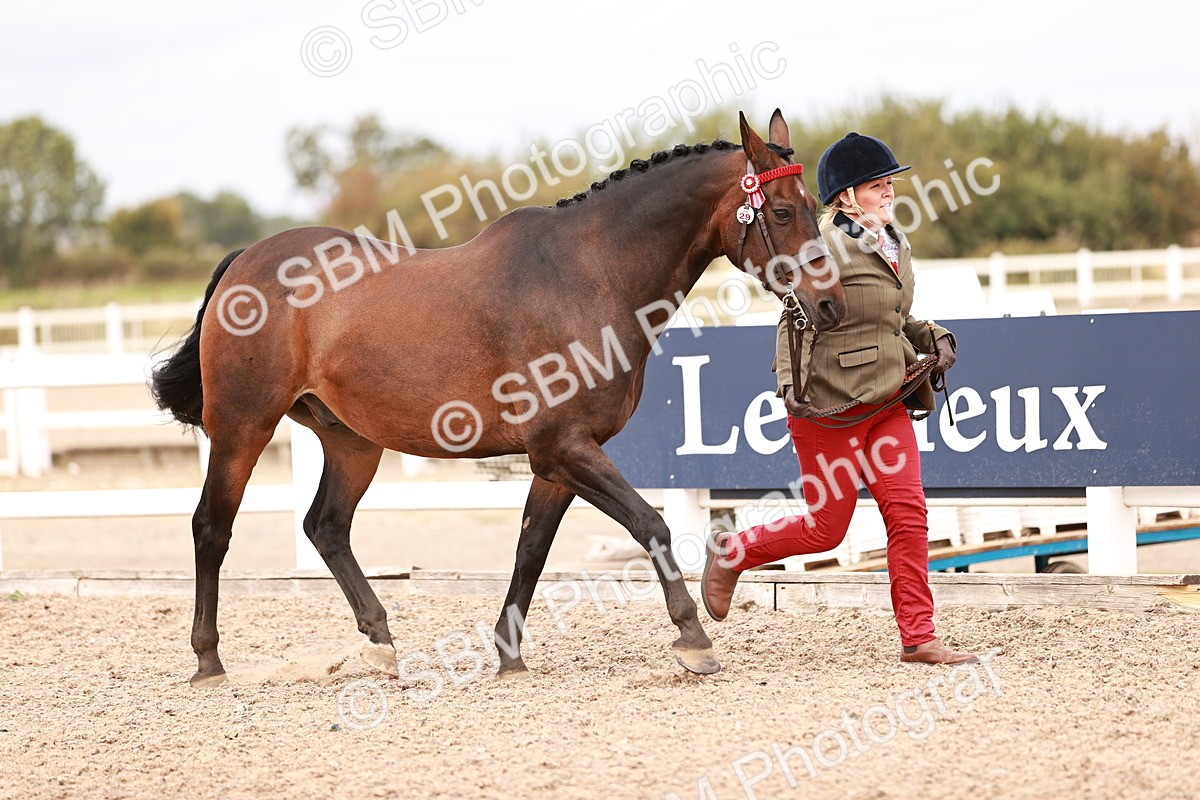 SBM_16274 - Class 413 - Best Condition - Adult