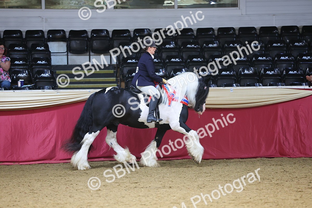 SBM_24969 - Supreme Final - Ridden Champion
