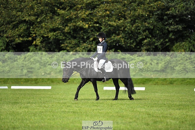 230826-094854-15242_Sections A and B  9 to 10am - 077-955-7552