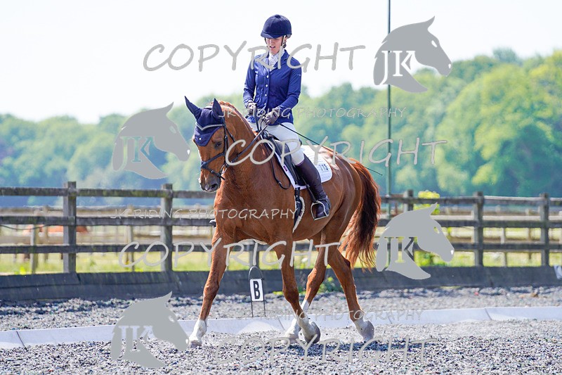 _DSC3999 - ELEM 1