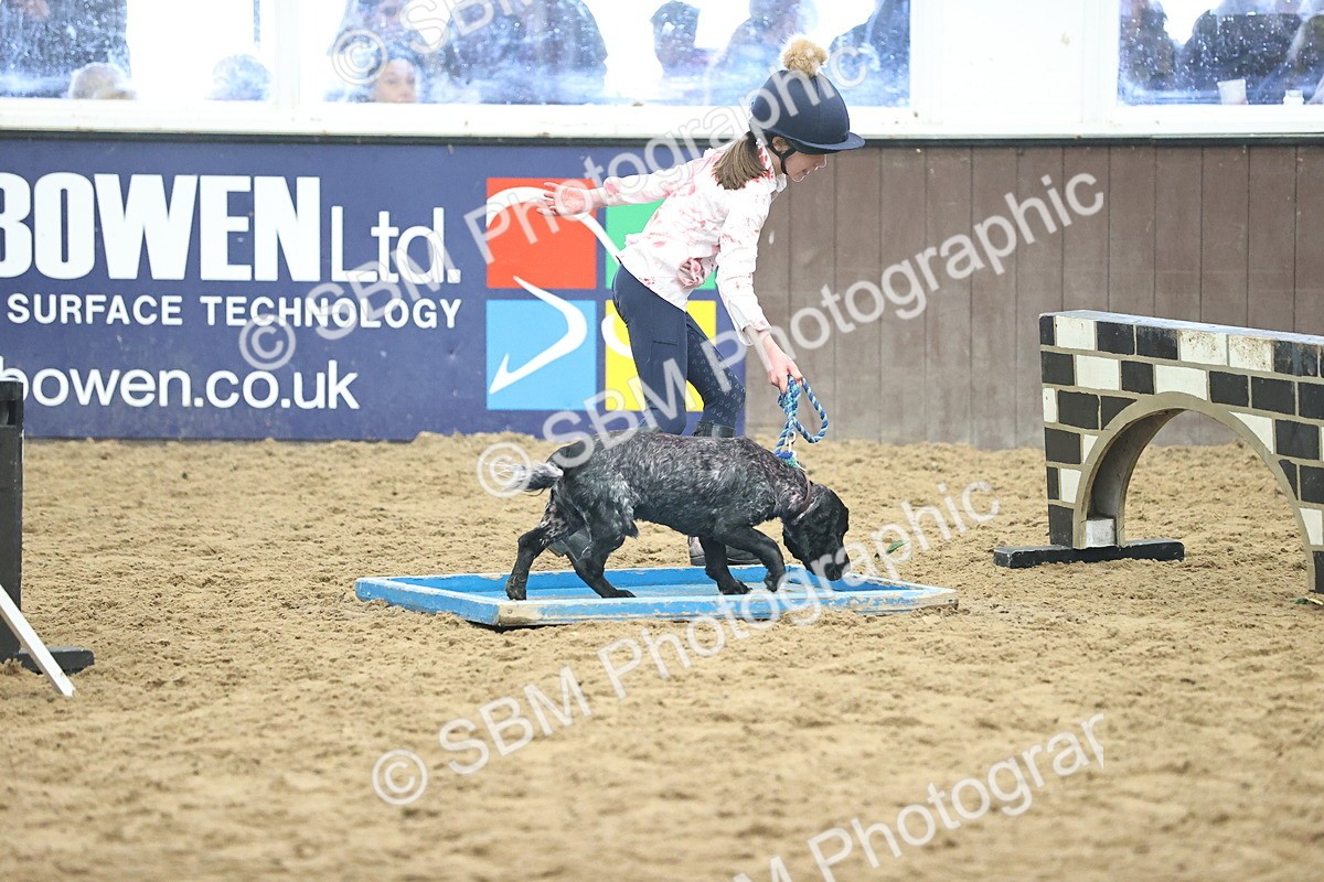SBM_001437 - Class 3 - Horse & Hound 60cm