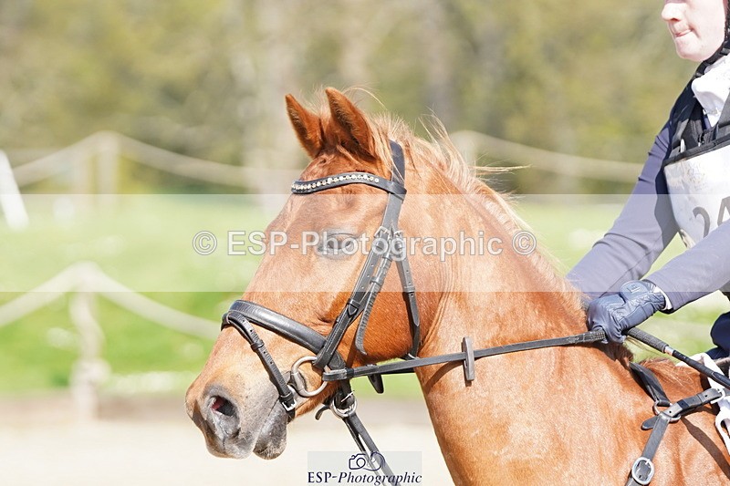 250420A-100946-00251 - Cls 02 70cm