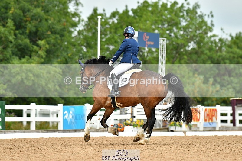 230701A-120855-06001 - Cls 8 Elementary 57