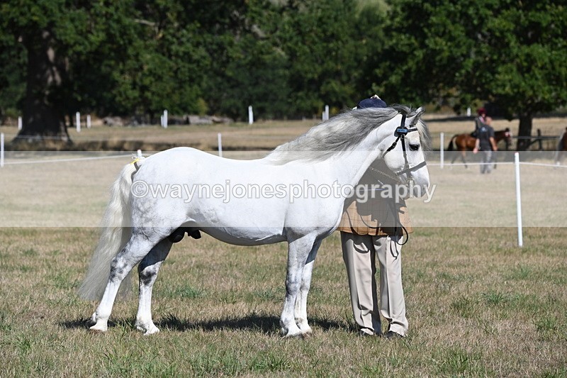 WJ6_4312 - Class 16 Condition & Turn Out