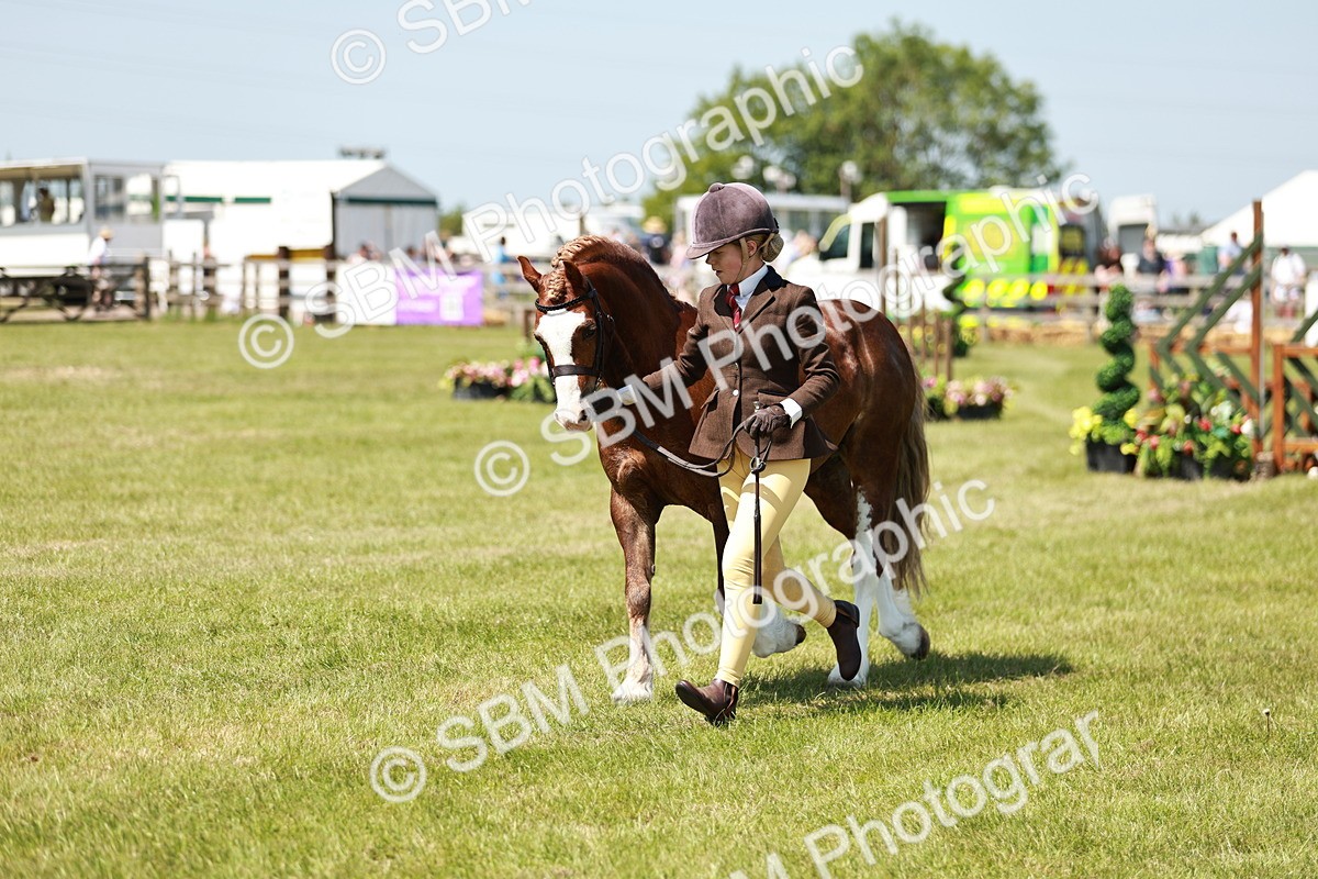 SBM_15544 - Class 108-109 - BSPS LIHS Open Gradle & Nursery Stakes