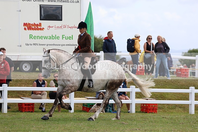 3E7A0640 - Rising Star Ridden Championship