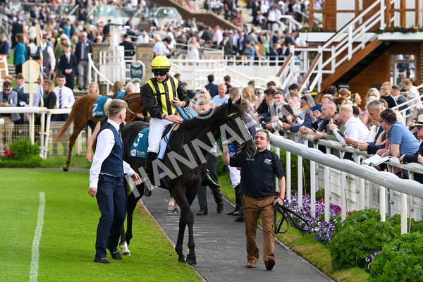 310525-Race 6-Dantes Lad-0001 - Race 6 4.25pm Royal Yorkshire Regiment Handicap