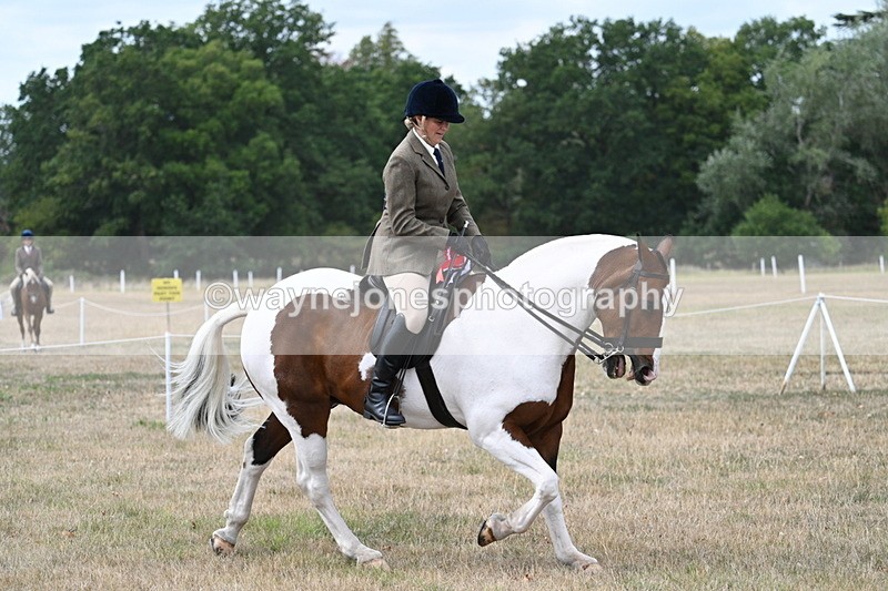 WJ7_5665 - Class 12 Ridden Cob