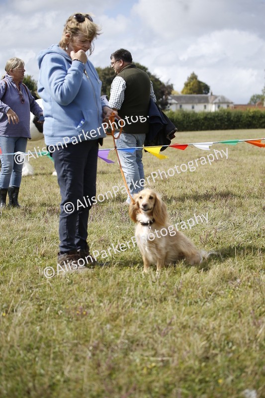 20250831-3656 - Dog Show