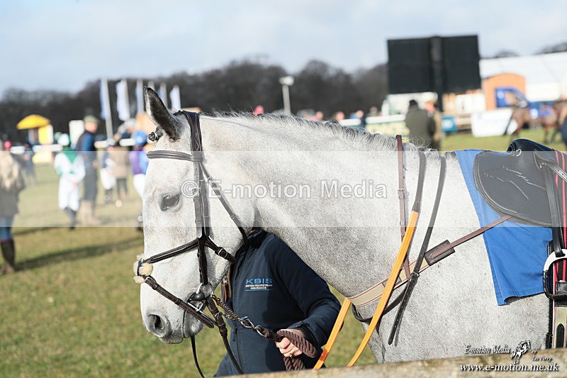 PR PtP 250126 336 - Pony Racing Cocklebarrow 25/01/26