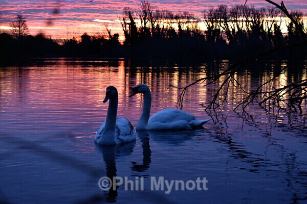 ART0007 - Photo Mynott ART Images