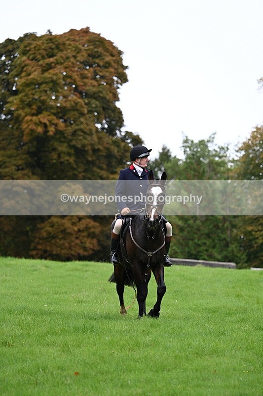 WJ7_4362 - Camera 1 Line 3