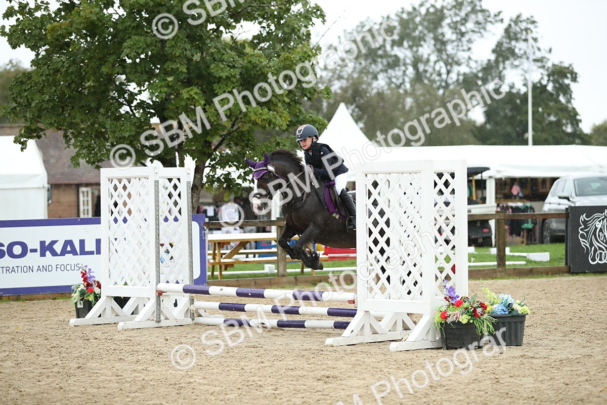 SBM_34338 - J60 Clear Round 50cm