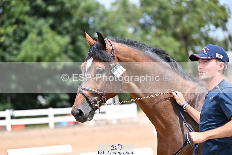 250716-132650-00521 - Trot Up 12.30 to 1.30