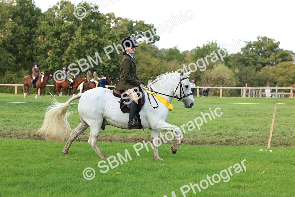 SBM_46344 - Working Hunter Pony Supreme Championship