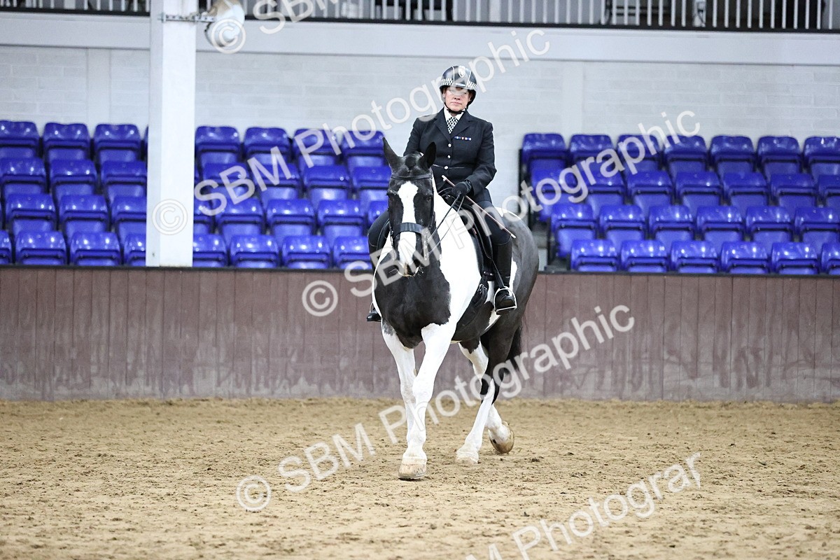 SBM_6372 - Class 45-42 - Ridden Irish Breeds-Ridden Cob