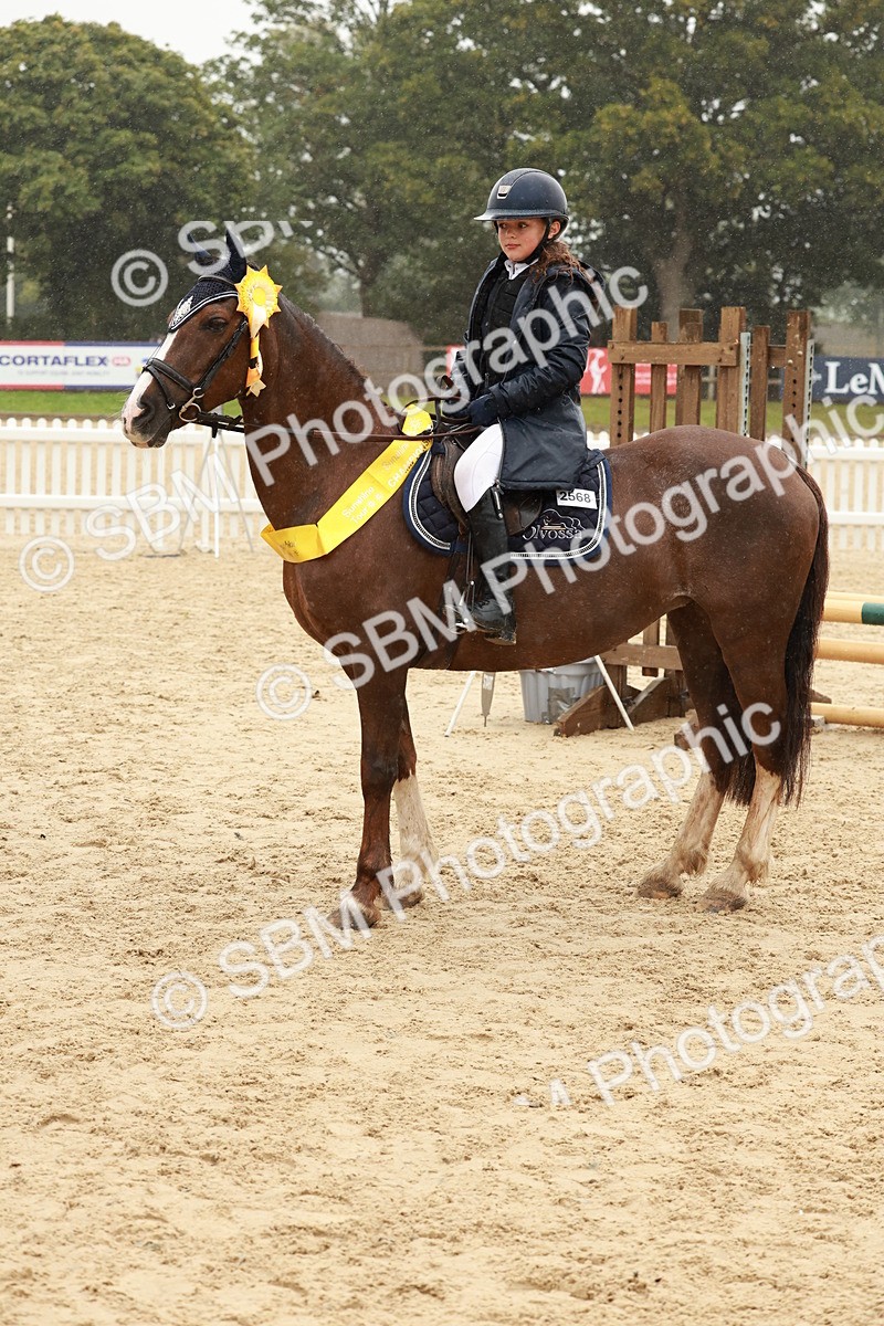 SBM_72202 - J14 - Junior Pony 65cm Championship