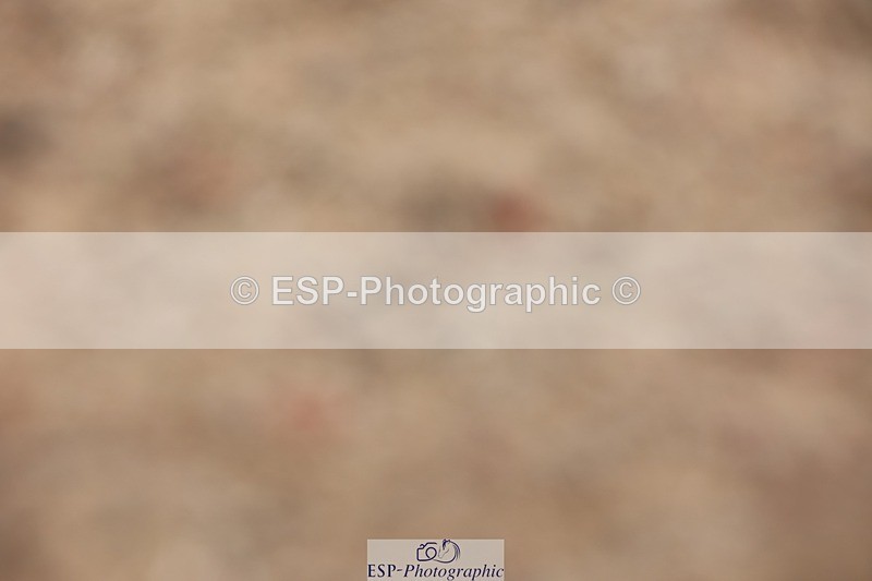 250620-113546-00720 - BD Cls 12 - Freestyle Medium